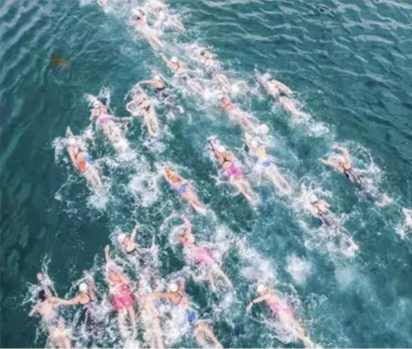 การป้องกันความปลอดภัยสำหรับคุณสมบัติการว่ายน้ำมาราธอนโอลิมปิกในโตเกียว